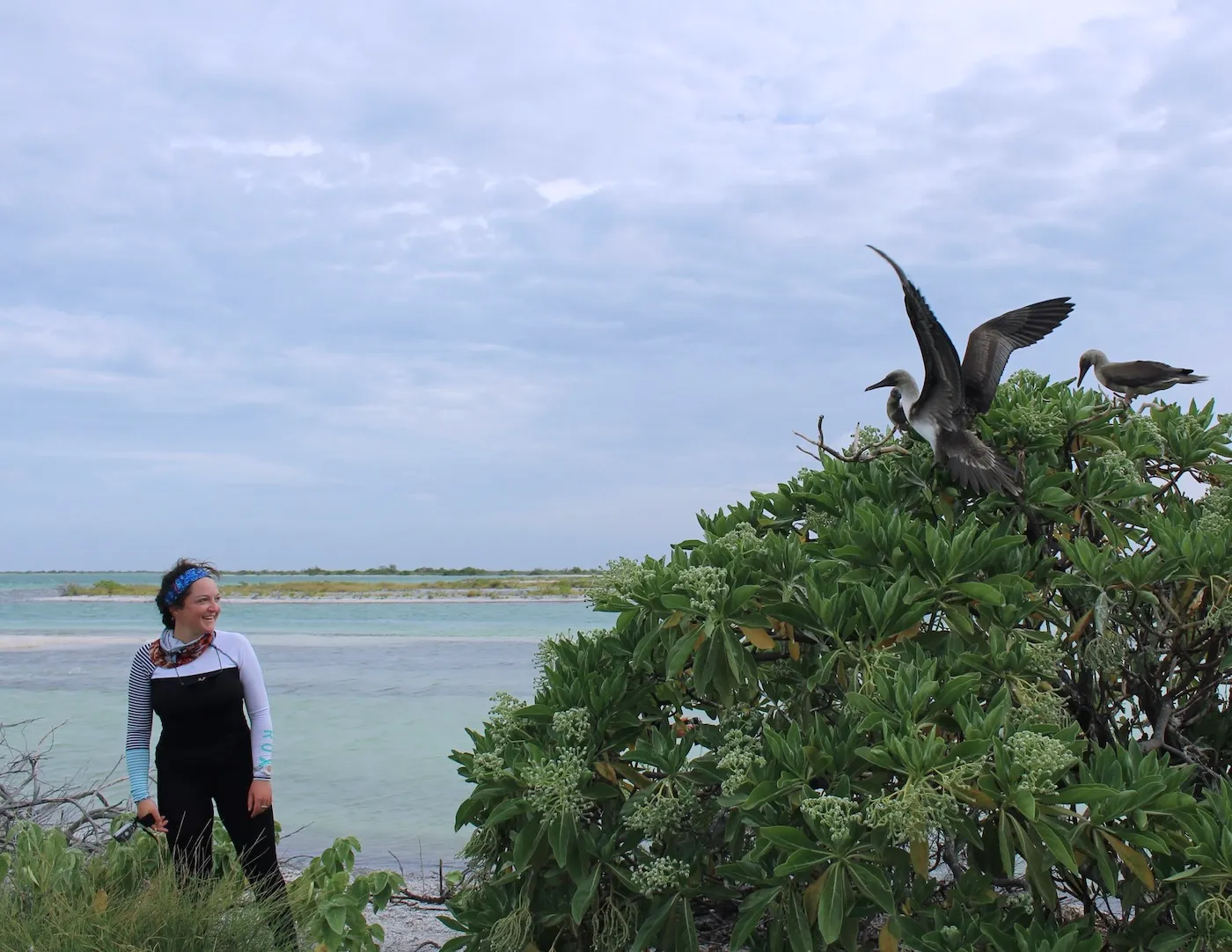 Daisy Buzzoni observing frigatebirds during marine fieldwork